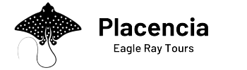 tour agency placencia